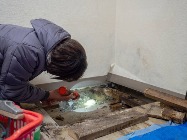 Best Residential Mold Inspection & Testing  in Southwood Acres, CT