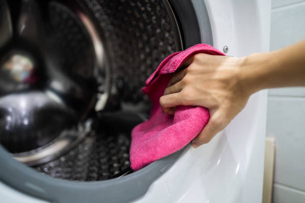 Best Mold Damage Restoration  in Southwood Acres, CT