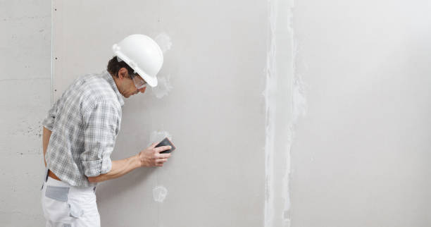 Best Mold-Related Health Consultation  in Southwood Acres, CT