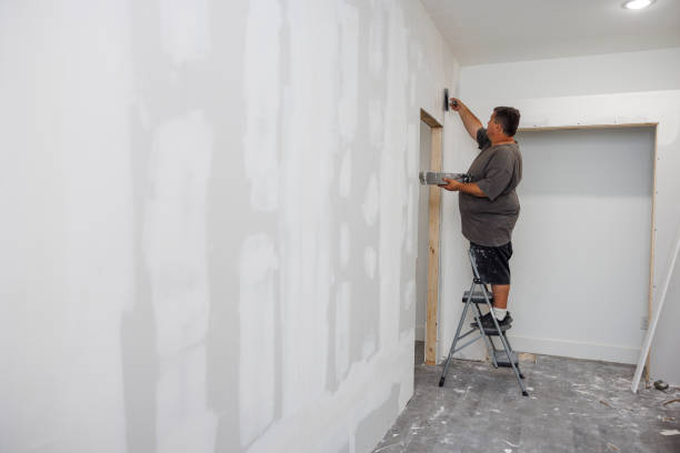 Trusted Southwood Acres, CT Mold Removal Experts